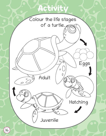 Lil Legends Know me Series, I am a Turtle/ Fascinating Animal Book- Sea Animal, Exciting Illustrated Book for kids, Age 2+ - Oswaal Books