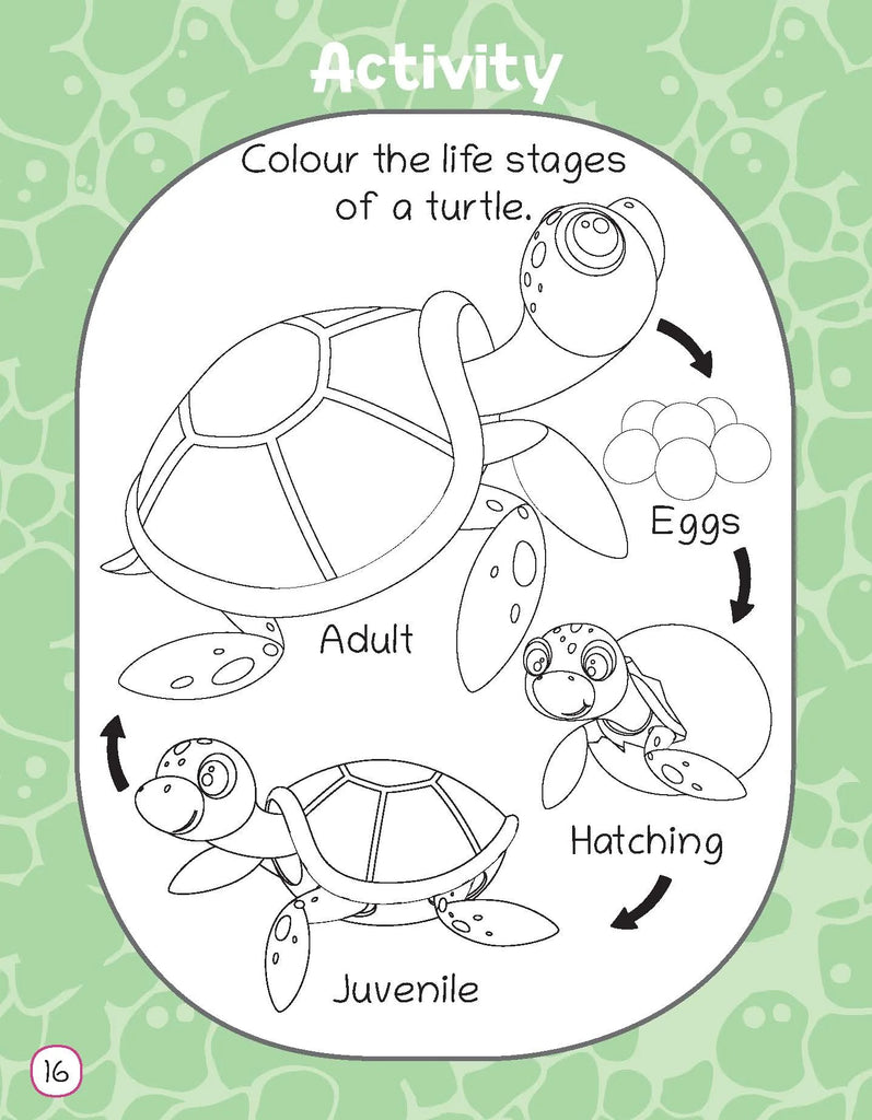Lil Legends Fascinating Animal Book , TURTLE- A Sea Animal, Exciting Illustrated Book for kids, Age 2+ Oswaal Books and Learning Private Limited