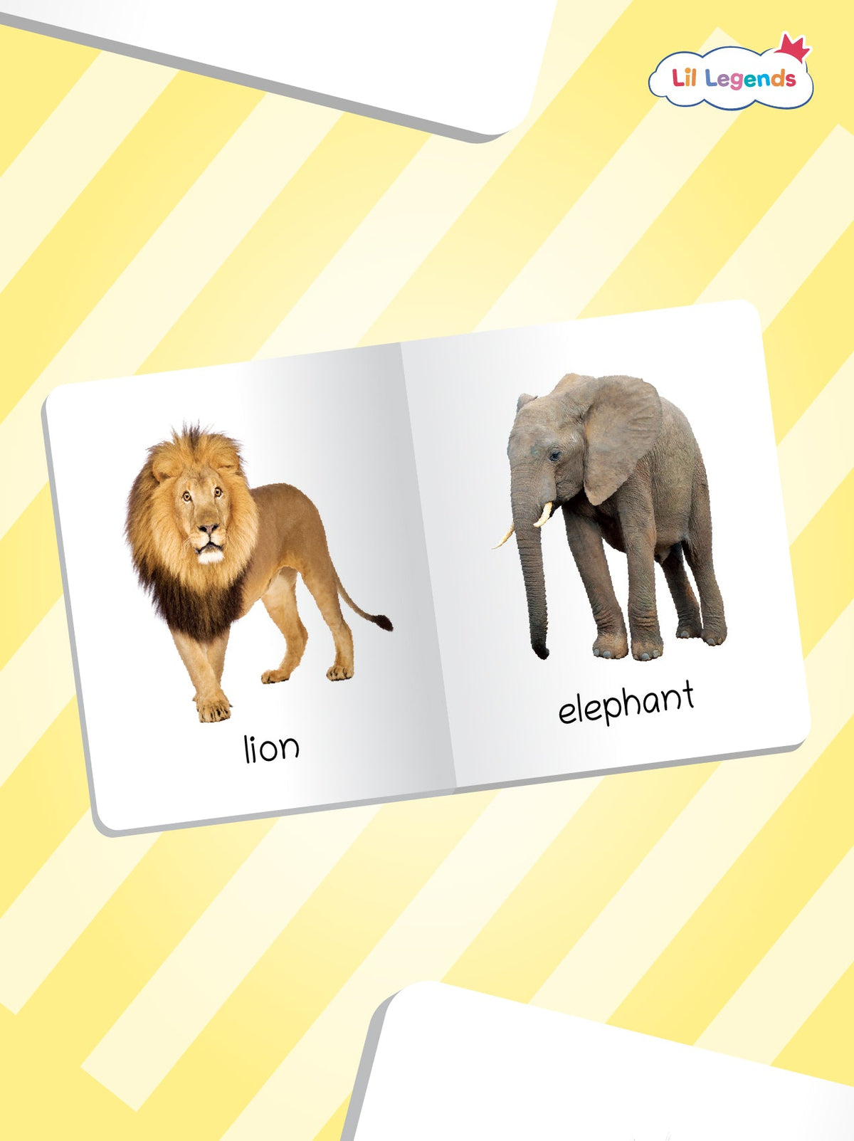 Mini Library Box Set â€“ 12 Durable Board Books for Toddlers | Early Learning Concepts Like Alphabet, Numbers, Colours, Animals & More | Tear-Resistant | Perfect for Ages 0â€“4 - Oswaal Books
