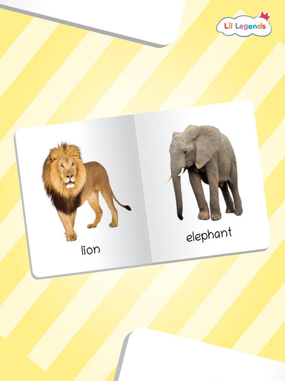 Mini Library Box Set â€“ 12 Durable Board Books for Toddlers | Early Learning Concepts Like Alphabet, Numbers, Colours, Animals & More | Tear-Resistant | Perfect for Ages 0â€“4 - Oswaal Books