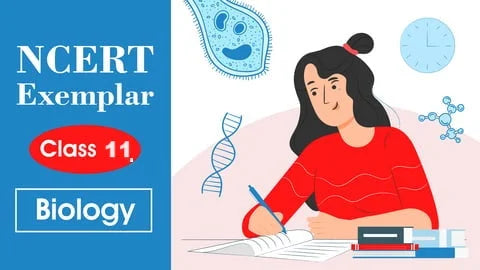 NCERT Class 11th Solutions + Exemplar | Biology | Online Mock Test | For 2026 Exams