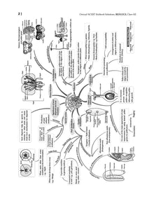 NCERT Textbook Solution Class 12 Biology | For Latest Exam Oswaal Books and Learning Private Limited