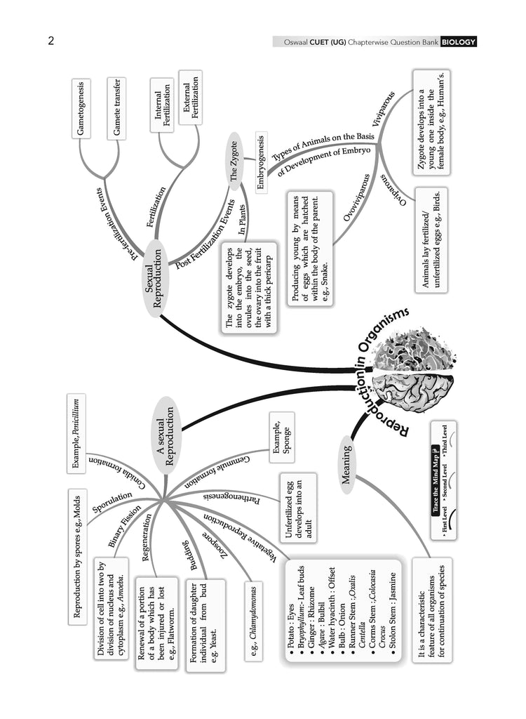 NTA CUET (UG) Chapterwise Question Bank Biology (For 2025 Exam) Oswaal Books and Learning Private Limited