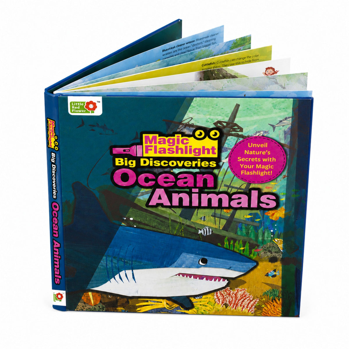 Oswaal Lil Legends Magic Flashlight Big Discoveries Ocean Animals for Kids | Interactive Hidden Picture Book with Reveal Card | Interesting Facts | Activity Book for Toddlers | For Age 3+