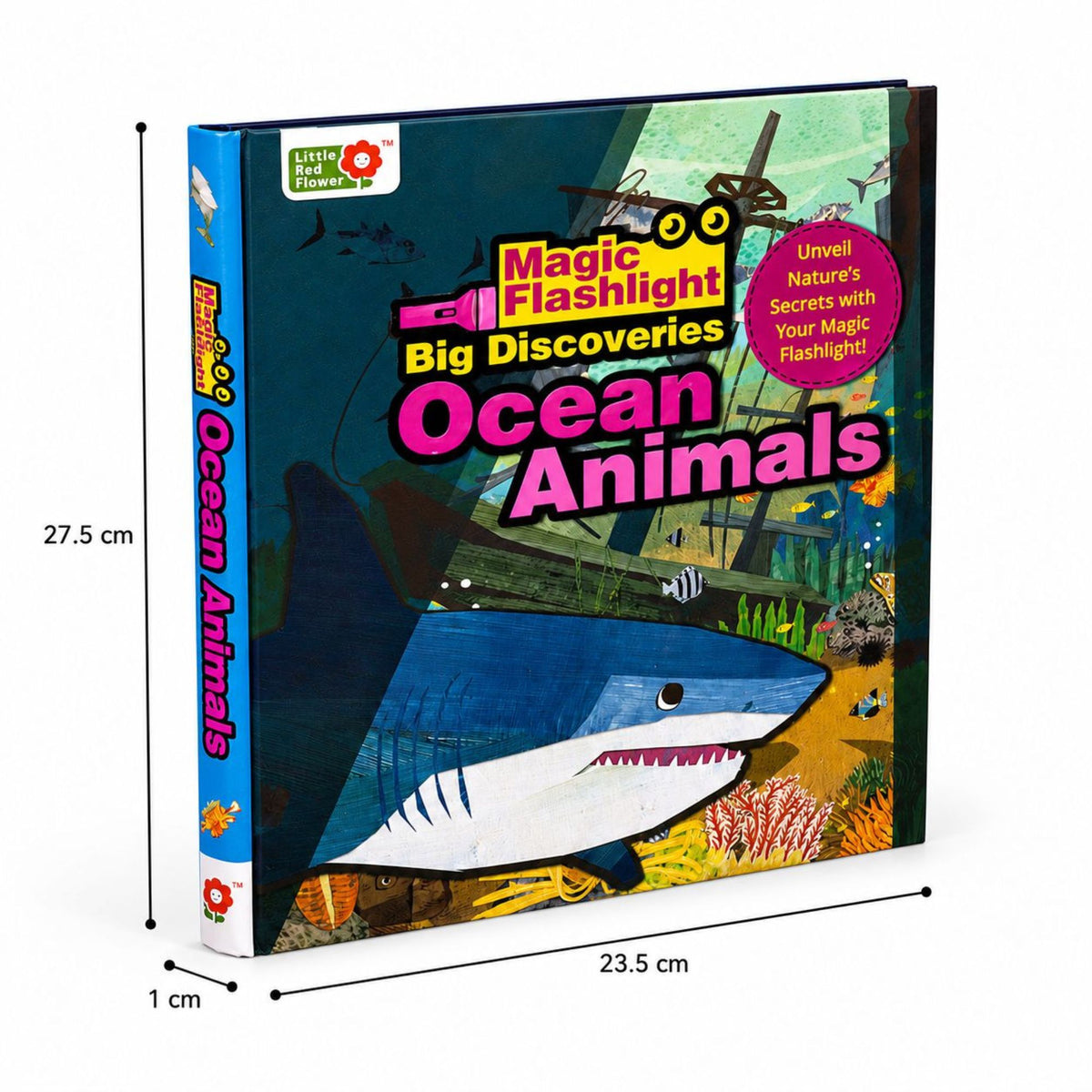Oswaal Lil Legends Magic Flashlight Big Discoveries Ocean Animals for Kids | Interactive Hidden Picture Book with Reveal Card | Interesting Facts | Activity Book for Toddlers | For Age 3+