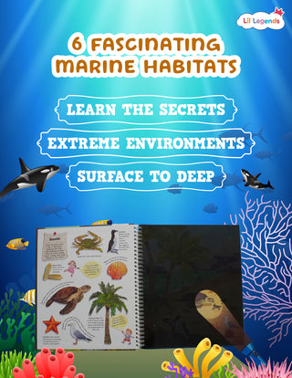 Lil Legends Magic Flashlight Big Discoveries Ocean Animals for Kids | Interactive Hidden Picture Book with Reveal Card | Explore Six Ocean Zones | Age 3+ Years | Paperback | Activity Book