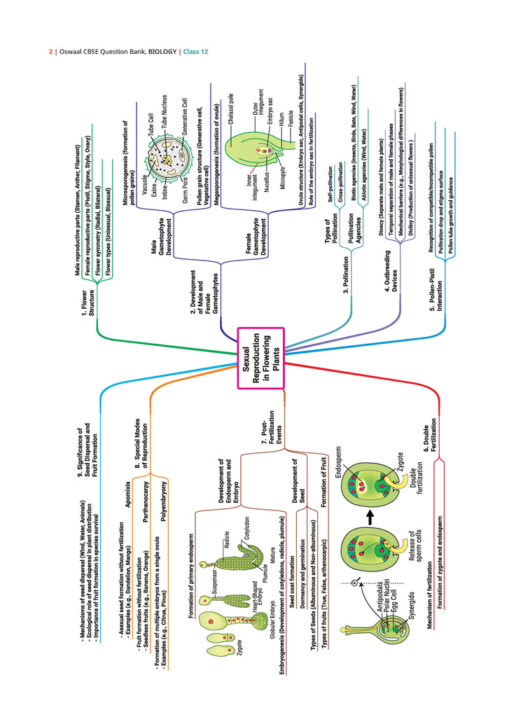 Oswaal Books and Learning Private Limited TRUE Paperback CBSE Question Bank Chapterwise and Topicwise SOLVED PAPERS Class 12 Biology For Exam 2026