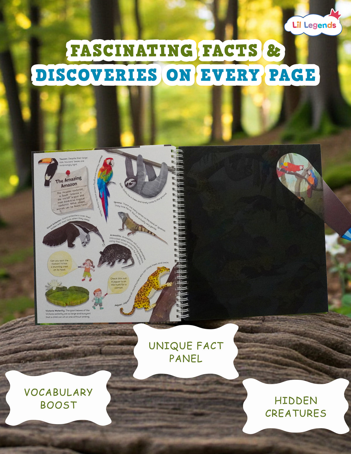 Lil Legends Magic Flashlight Big Discoveries Jungle Animals for Kids | Interactive Hidden Picture Book with Reveal Card | Interesting Facts | Activity Book for Toddlers | For Age 3+