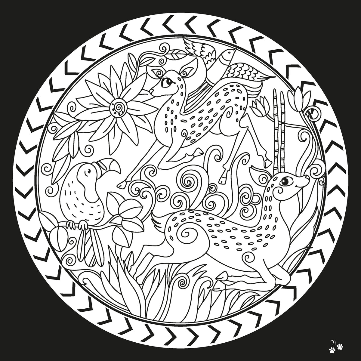 Oswaal Lil Legends: Let's Colour our Animals - Oswaal Books