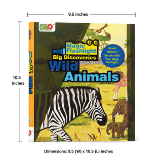 Oswaal Lil Legends Magic Flashlight Little Explorer Mega Pack – Ocean, Jungle, Dinosaur and Wild Animals for Kids | Interactive Hidden Pictures, Reveal Card and Interesting Facts | For Age 3+
