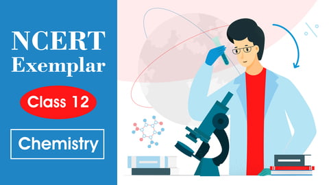 NCERT Class 12th Solutions + Exemplar | Chemistry | Online Mock Test | For 2026 Exams